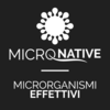 MICRONATIVE