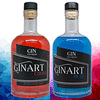 GINART