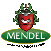 MENDELSPECK SRL