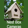 NEST BOX CAMERAS