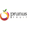 PRUNUSFRUIT